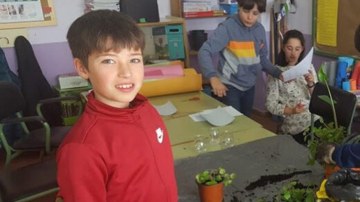 Proyecto EME, educación emprendedora en la red